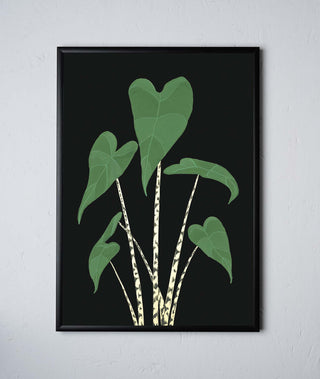 stengun-drawings-botanical-giclee-prints