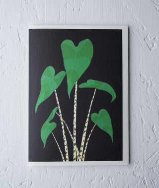 alocasia zebrina houseplant greeting card Stengun Drawings
