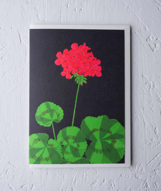 barbican geranium floral greeting card Stengun Drawings