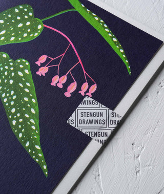 begonia tamaya houseplant greeting card Stengun Drawings