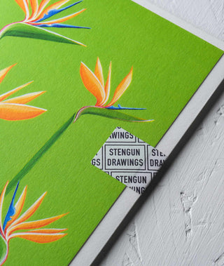 birds of paradise botanical greeting card Stengun Drawings