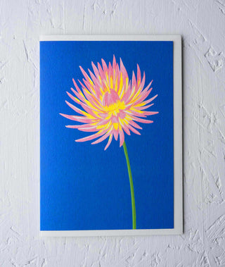 cactus dahlia floral greeting card Stengun Drawings