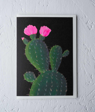 cactus with black background botanical greeting card front Stengun Drawings