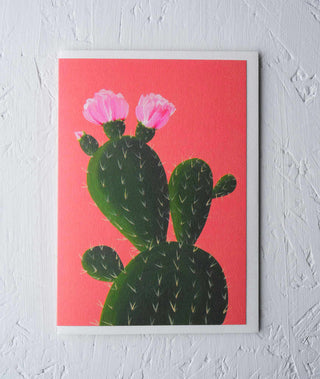 cactus with orange background botanical greeting card Stengun Drawings