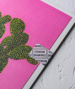cactus with a pink background botanical greeting card Stengun Drawings