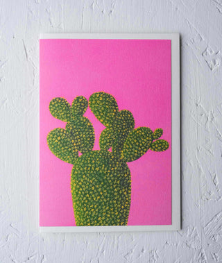 cactus with a pink background botanical greeting card Stengun Drawings