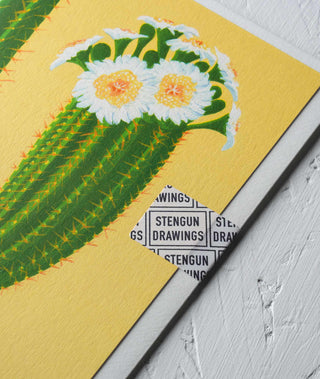 cactus with a yellow background botanical greeting card Stengun Drawings