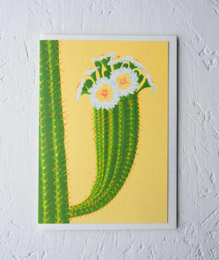 cactus with a yellow background botanical greeting card Stengun Drawings