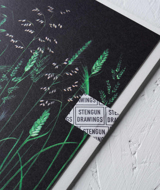 Chelsea Grasses Botanical Greeting Card Stengun Drawings