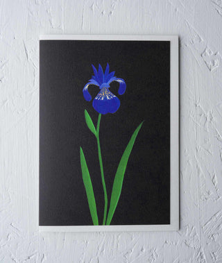 Chelsea Iris Floral Greeting Card - Stengun Drawings