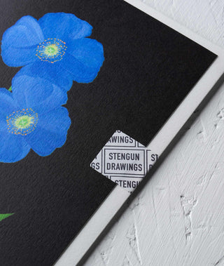 Chelsea Meconopsis Floral Greeting Card - Stengun Drawings