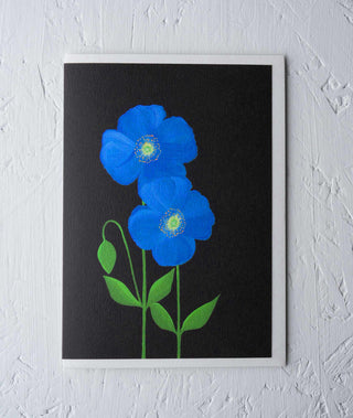 Chelsea Meconopsis Floral Greeting Card - Stengun Drawings