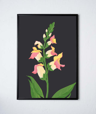 stengun-drawings-floral-giclee-print