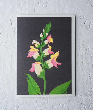 Dragon Snap Floral Greeting Card - Stengun Drawings