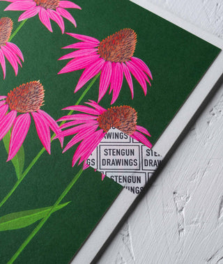 Echinacea Floral Greeting Card - Stengun Drawings