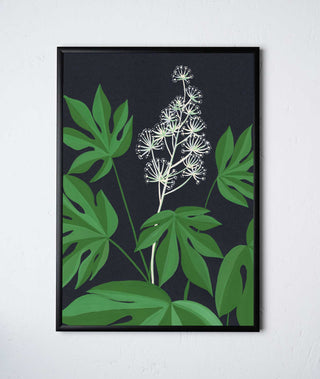 stengun-drawings-botanical-giclee-print