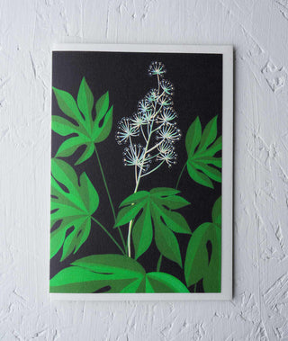 Fatsia Japonica Botanical Greeting Card - Stengun Drawings