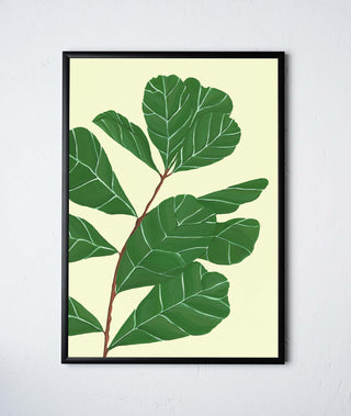 stengun-drawings-botanical-giclee-print