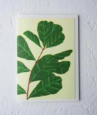 Fiddle Leaf Fig Houseplant Greeting Card - Stengun Drawings
