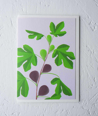 Fig Botanical Greeting Card - Stengun Drawings