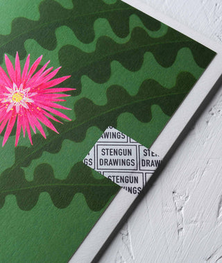 Fishbone Cactus Houseplant Greeting Card - Stengun Drawings