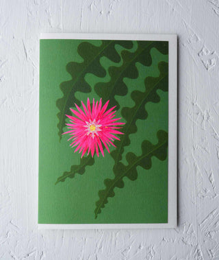 Fishbone Cactus Houseplant Greeting Card - Stengun Drawings