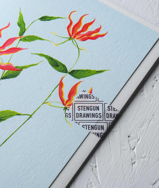 Flame Lily Floral Greeting Card - Stengun Drawings