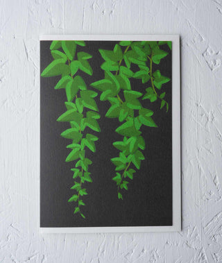Ivy Botanical Greeting Card - Stengun Drawings