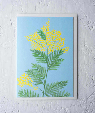 Mimosa Botanical Greeting Card - Stengun Drawings