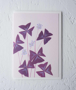 Oxalis Triangularis Greeting Card - Stengun Drawings