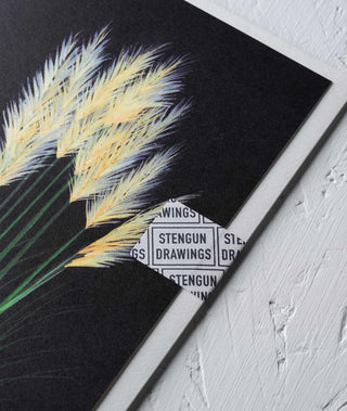 Pampas Grass Botanical Greeting Card - Stengun Drawings