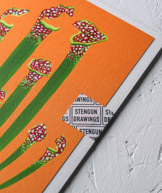 Pitcher Plant Botanical Greeting Card - Greeting Card