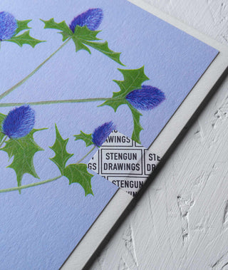 Sea Holly Botanical Greeting Card - Stengun Drawings