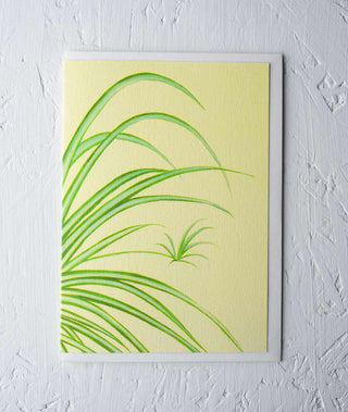 Spider Plant Houseplant Greeting Card - Stengun Drawings