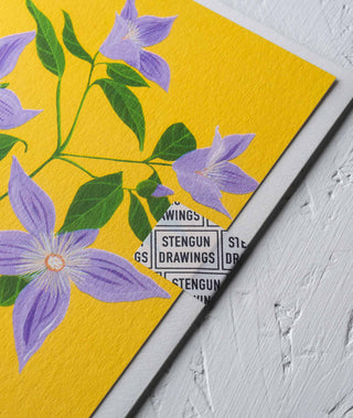 Sugar Sweet Clematis Floral Greeting Card - Stengun Drawings
